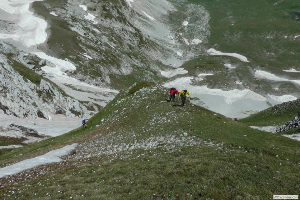 Faccia a terra