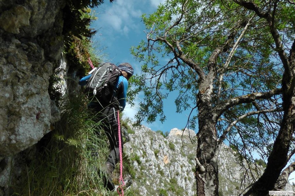 d Il passaggio chiave