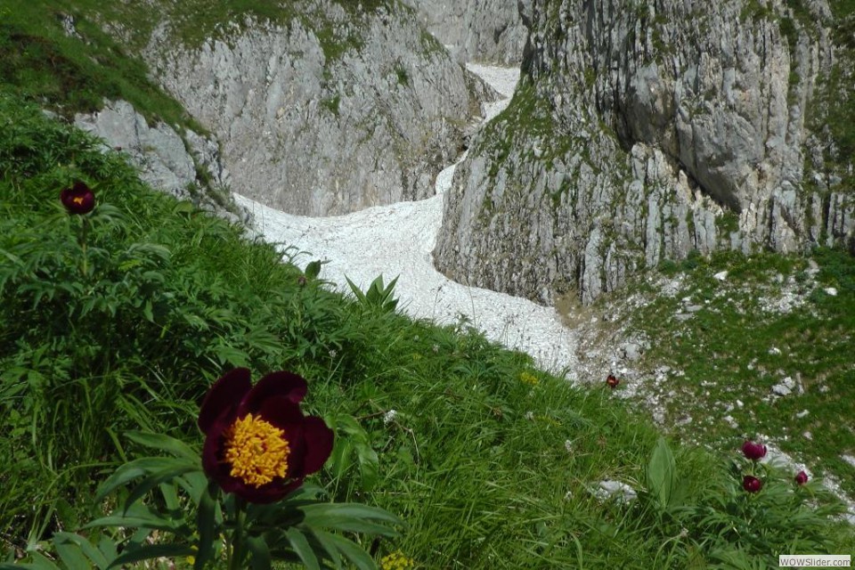 d Il sinuoso canale