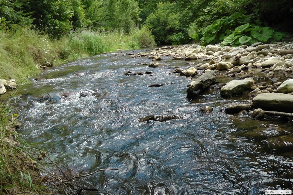 N Torrente Chiarino